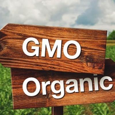 GMO và thực phẩm hữu cơ – điểm khác biệt nằm ở đâu?