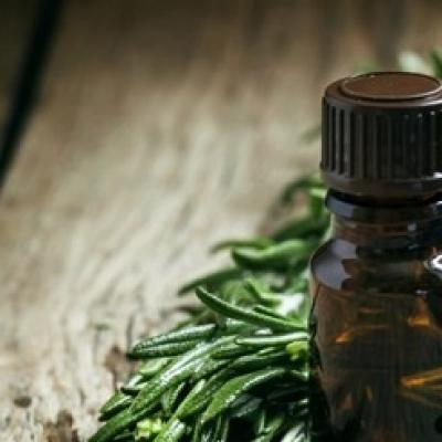 Những lợi ích chăm sóc da của tinh dầu tràm